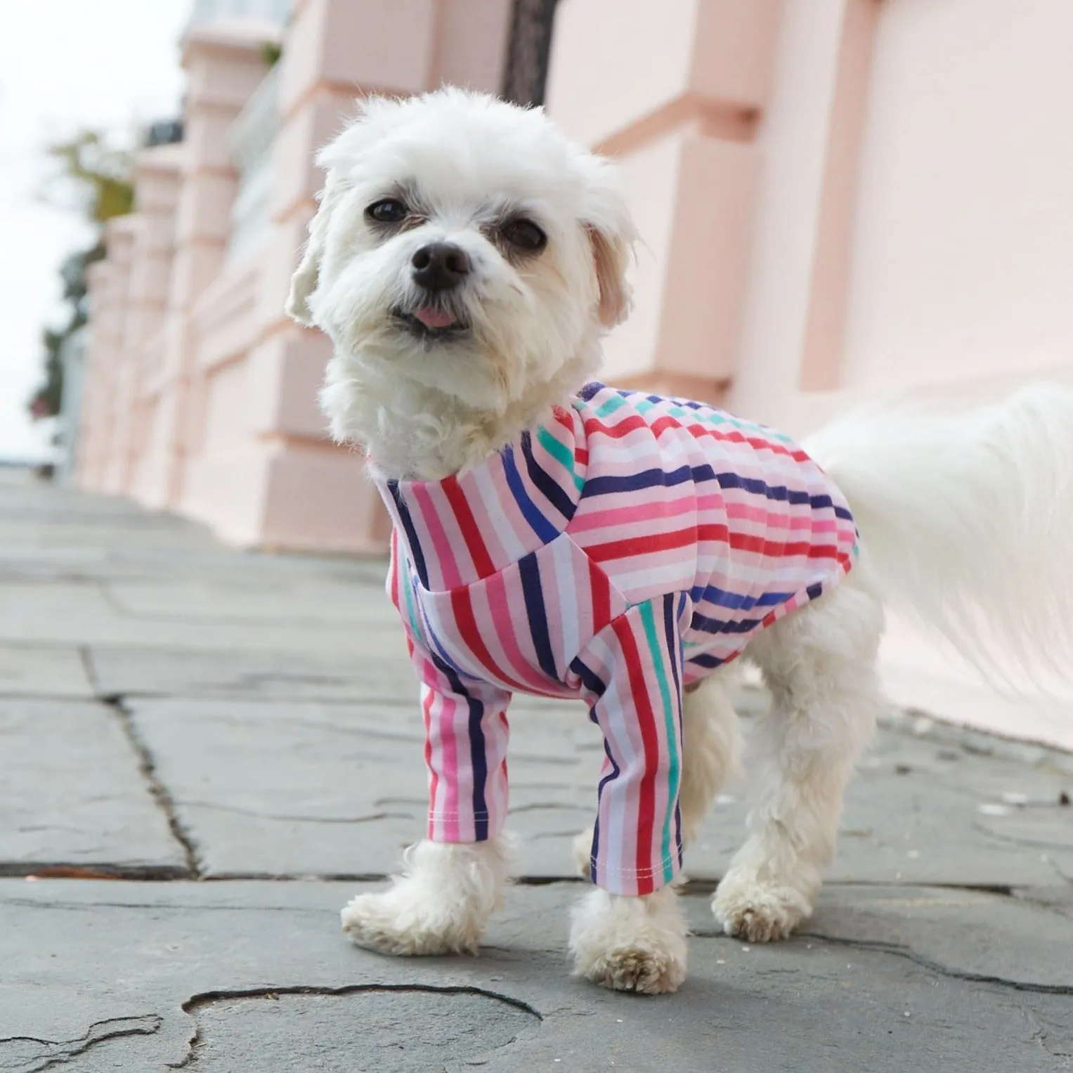 West Side Mutt | Pink with Multi-Color Stripes Doggie Mock Neck Top