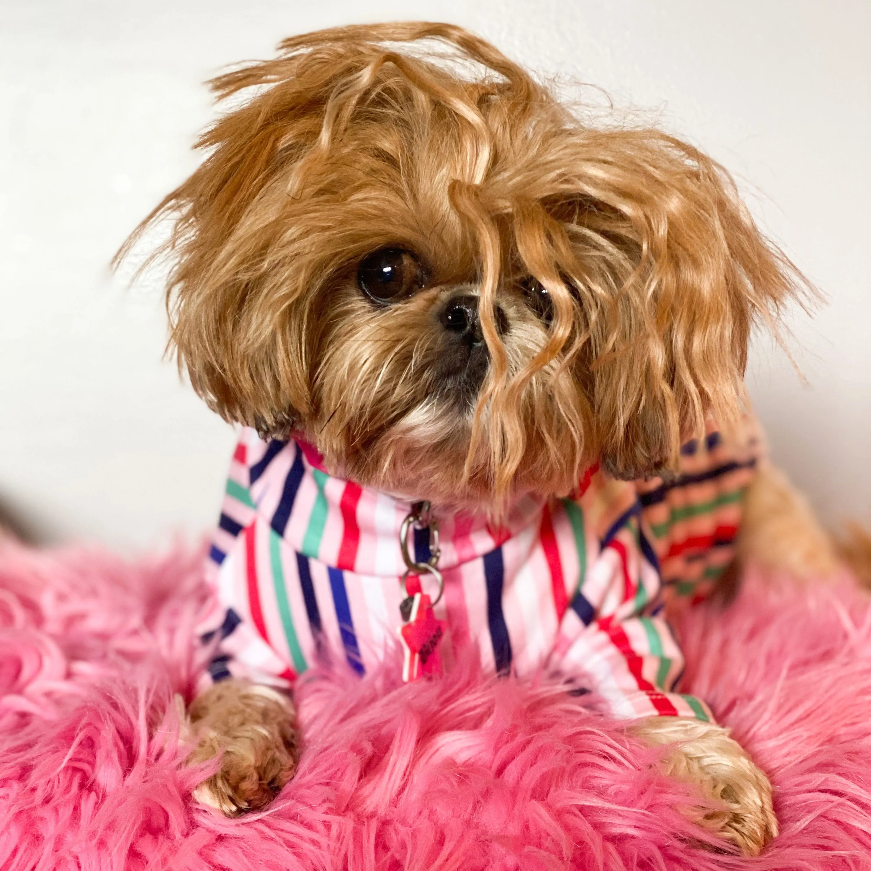 West Side Mutt | Pink with Multi-Color Stripes Doggie Mock Neck Top